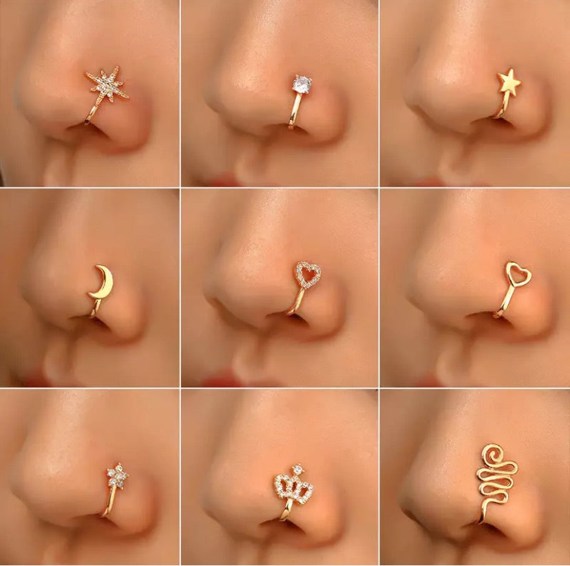 Expensive nose studs deals